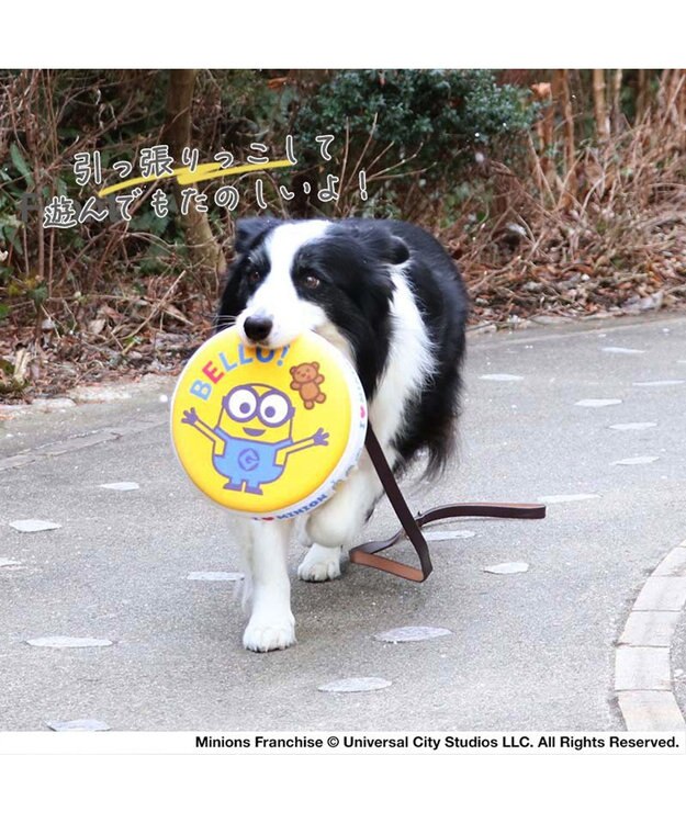 PET PARADISE 犬 おもちゃ ミニオン フライングディスク M (直径22cm) 黄