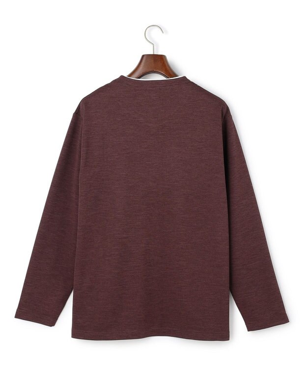 J.PRESS MEN 【WEB・一部店舗限定】フェイクレイヤード ロングスリーブTシャツ ワイン系