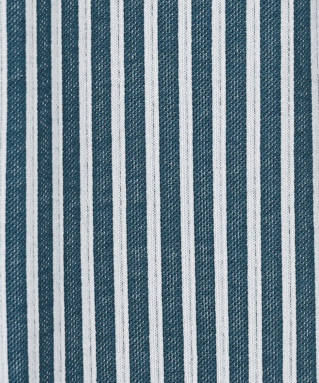 J.PRESS LADIES S 【WEB限定・洗える】ストライプジャージー フレア カットソー 【WEB限定】ダークグリーンストライプ系