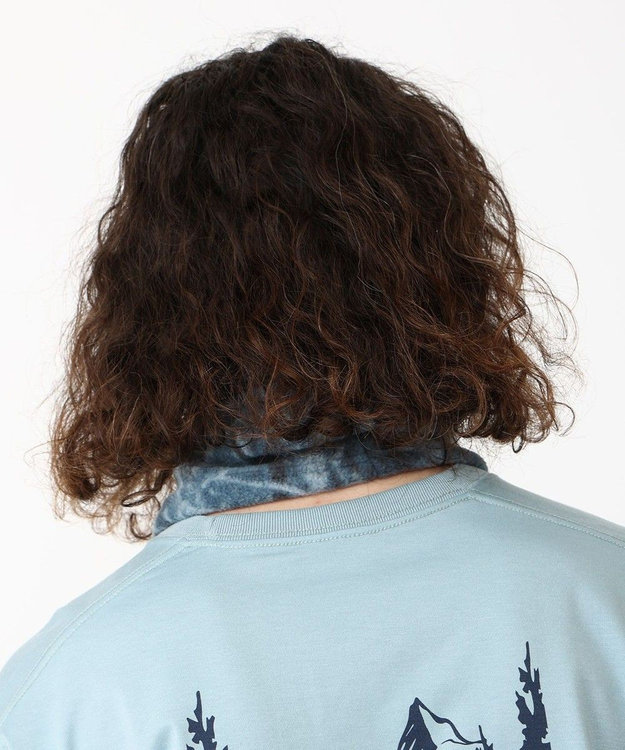 Columbia Columbia/ バックアイスプリングスネックゲイター /コロンビア Everblue Timberwolf