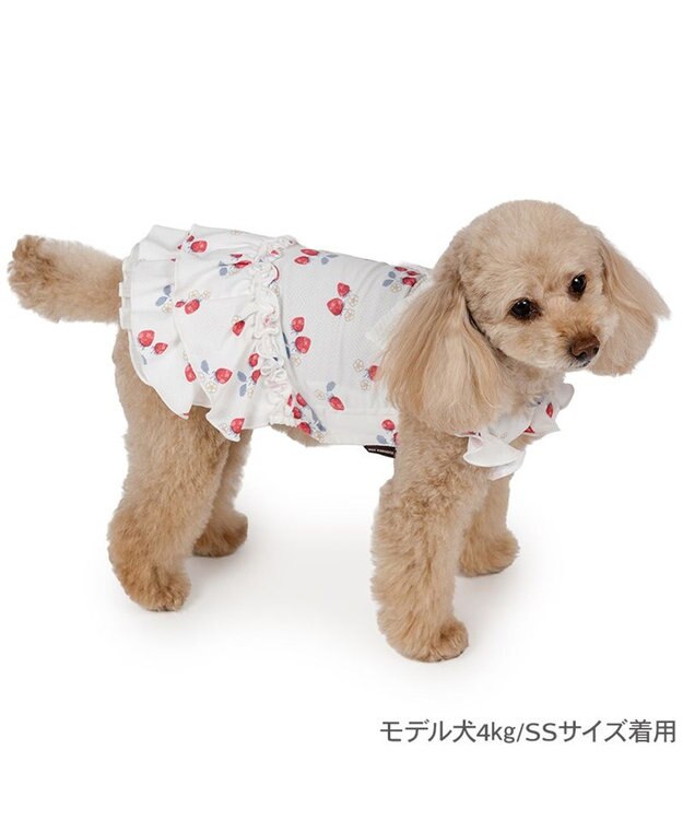 PET PARADISE ペットパラダイス 接触冷感 ワンピース 《苺柄》 小型犬 ホワイト×レッド