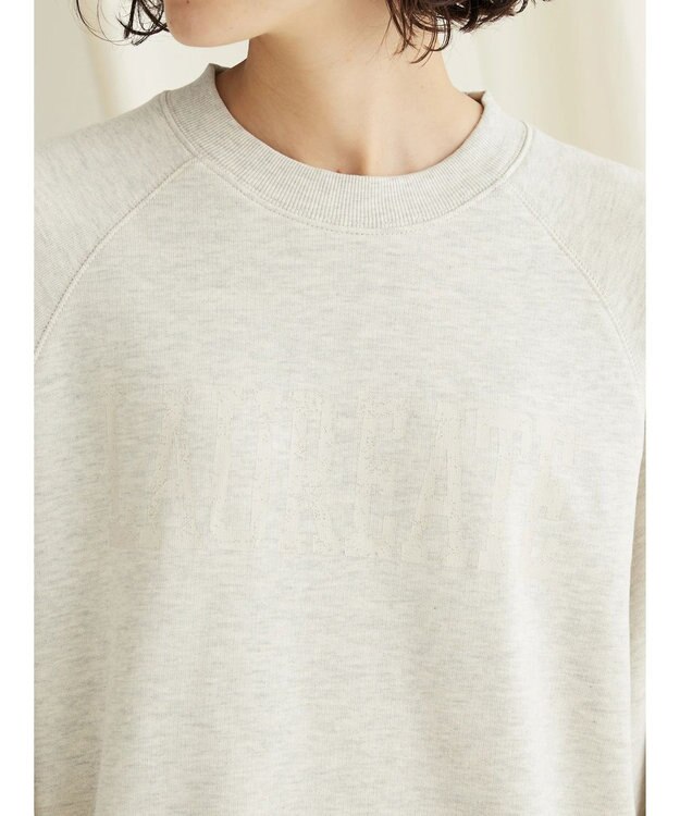 CRAFT STANDARD BOUTIQUE プリント裏毛ビッグプルオーバー Oatmeal