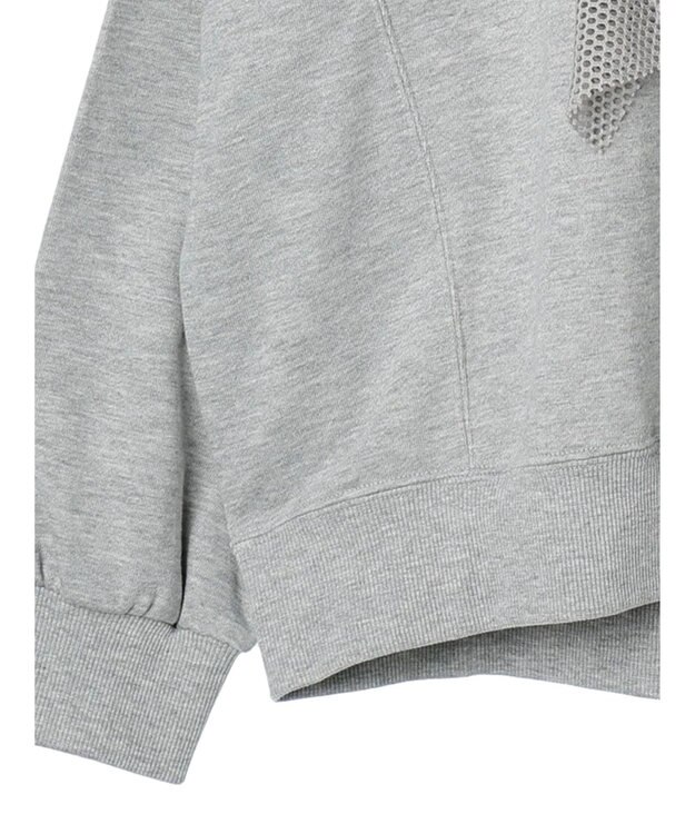 Green Parks ・ＳＵＧＡＲ　ＳＰＯＯＮ　タイガーｐｔラッフルスウェット Gray Mixture