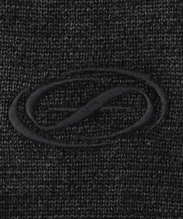 WEGO 【ユニセックス着用ITEM】ピグメントロゴニットプルオーバー スミクロ