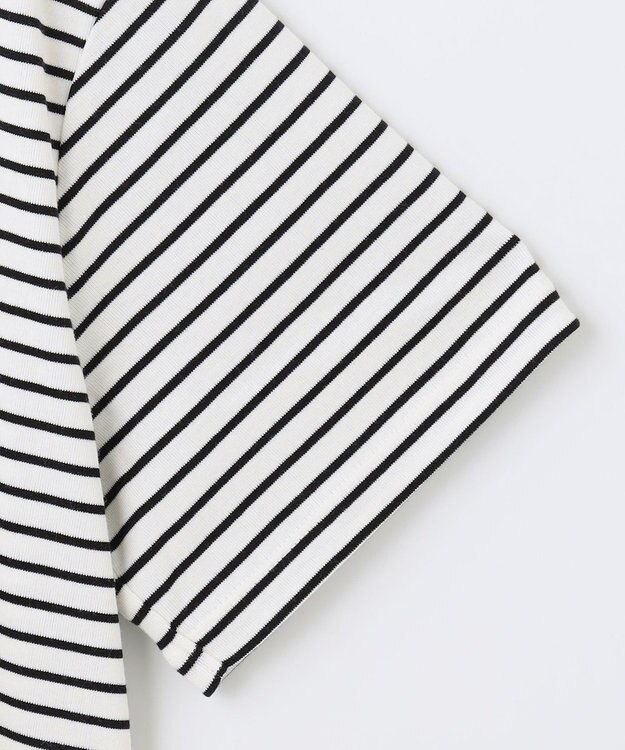 ANY 【接触冷感】クロップド丈半袖Tシャツ ボーダー