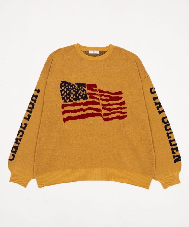 WEGO スリーブロゴニットプルオーバー イエロー