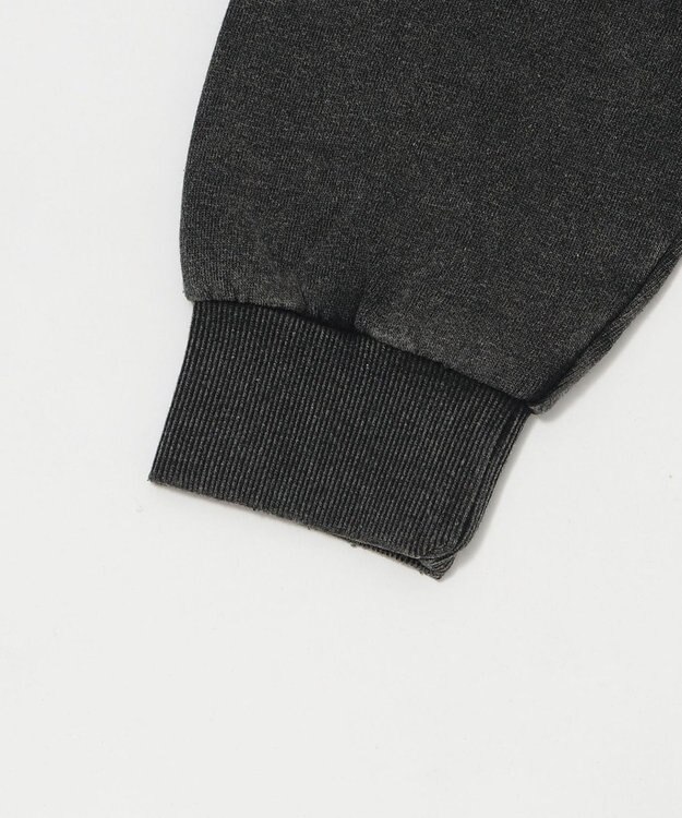 WEGO 【ユニセックス着用ITEM】コンパクトフィットロゴプルオーバー ブラックその他