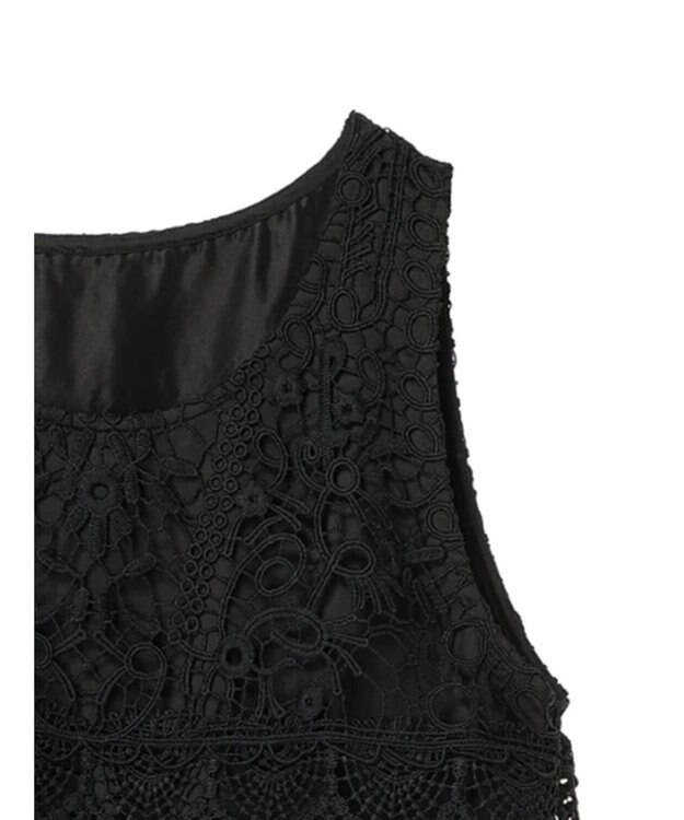 earth music&ecology レースチュールプリーツワンピース Black