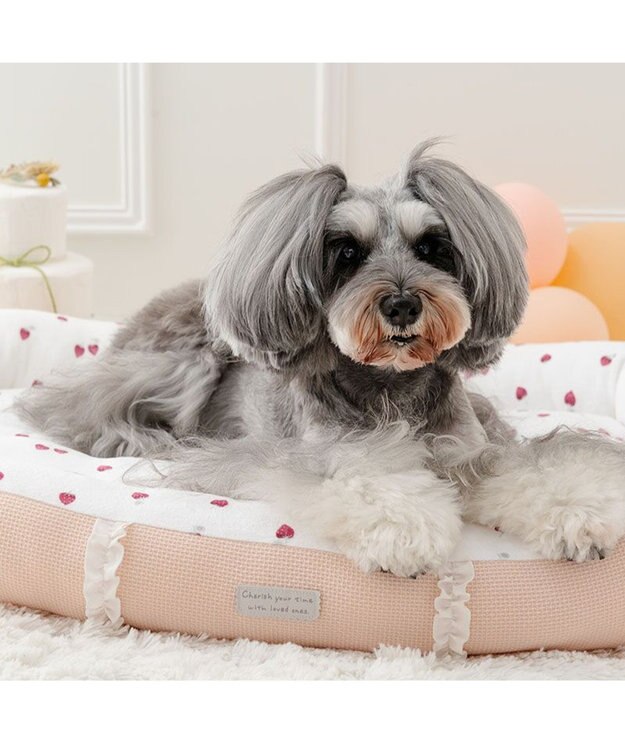 PET PARADISE ペットパラダイス いちご フリルカドラー  Ｌ 57×45cm ピンク