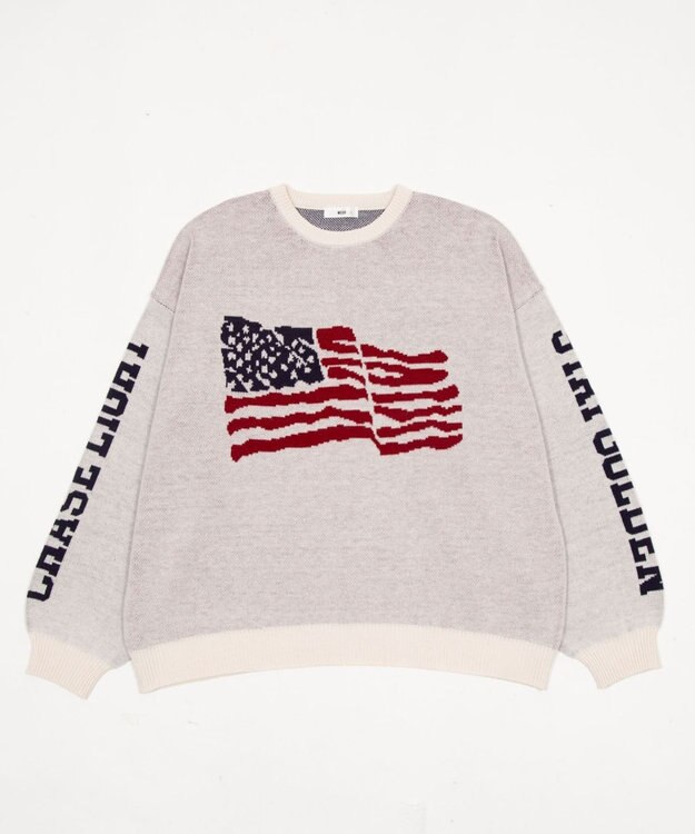 WEGO スリーブロゴニットプルオーバー ホワイト