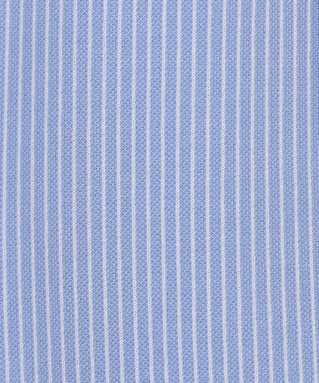 J.PRESS LADIES S 【WEB限定・洗える】ストライプジャージー フレア カットソー 【WEB限定】サックスストライプ系