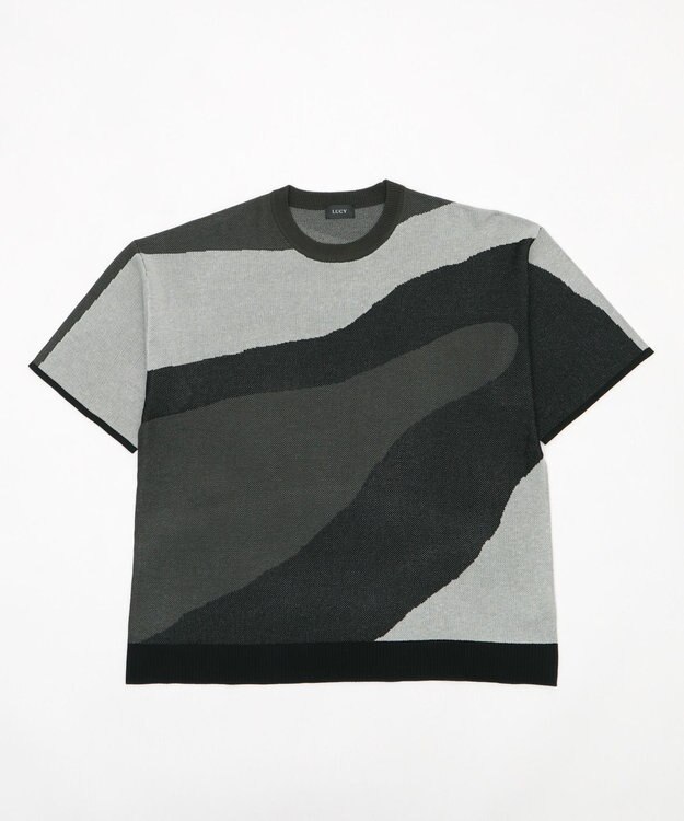 WEGO ジャガードニットT（SS） 柄2