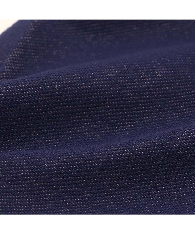 PET PARADISE J.PRESS デニム風 Ｔシャツ 小型犬 ダークインディゴブルー