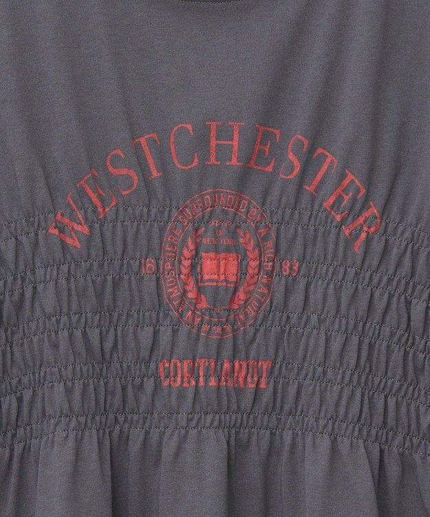 AMERICAN HOLIC カレッジプリントシャーリングプルオーバー Charcoal Gray