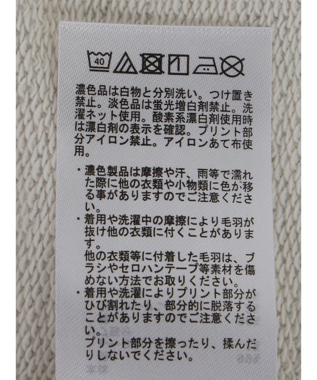 CRAFT STANDARD BOUTIQUE プリント裏毛ビッグプルオーバー Oatmeal