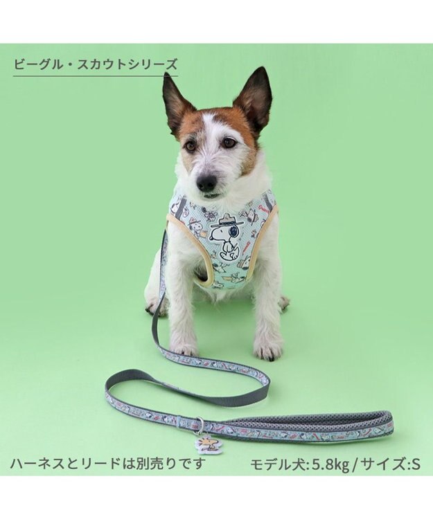 PET PARADISE スヌーピー リード 《ビーグルスカウト》 Ｍ~ L 中型犬 ビーグルスカウト