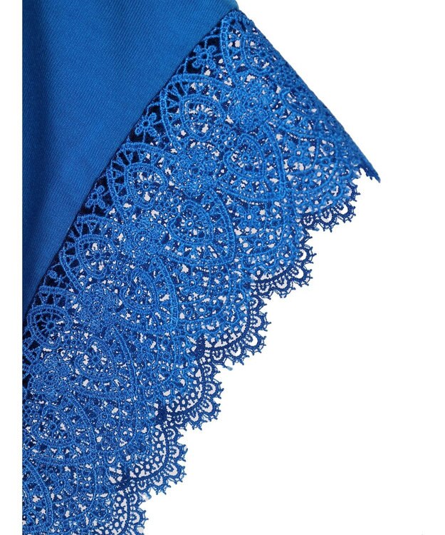 CRAFT STANDARD BOUTIQUE レーススリーブカットプルオーバー Blue