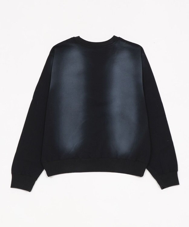 WEGO 【ユニセックス着用ITEM】サークルロゴプルオーバー ブラックその他