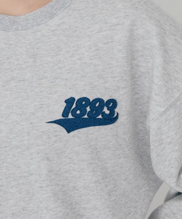 AMERICAN HOLIC ワンポイントサガラ刺繍裏毛プルオーバー Gray Mixture