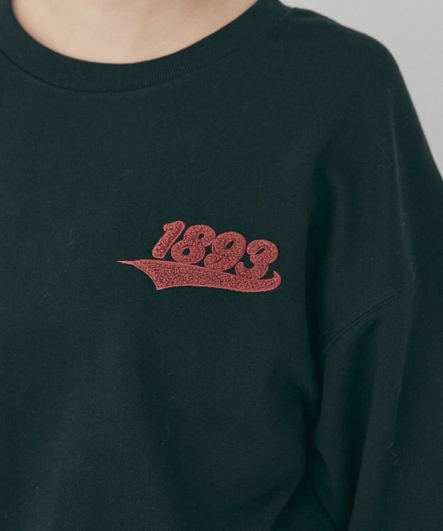 AMERICAN HOLIC ワンポイントサガラ刺繍裏毛プルオーバー Black