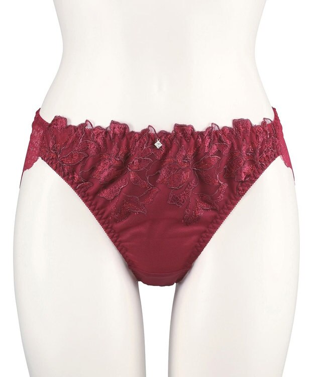 San-ai Resort（三愛水着楽園） エレガントコレクション【2411】ノーマルショーツLL 【northerly】 レッド