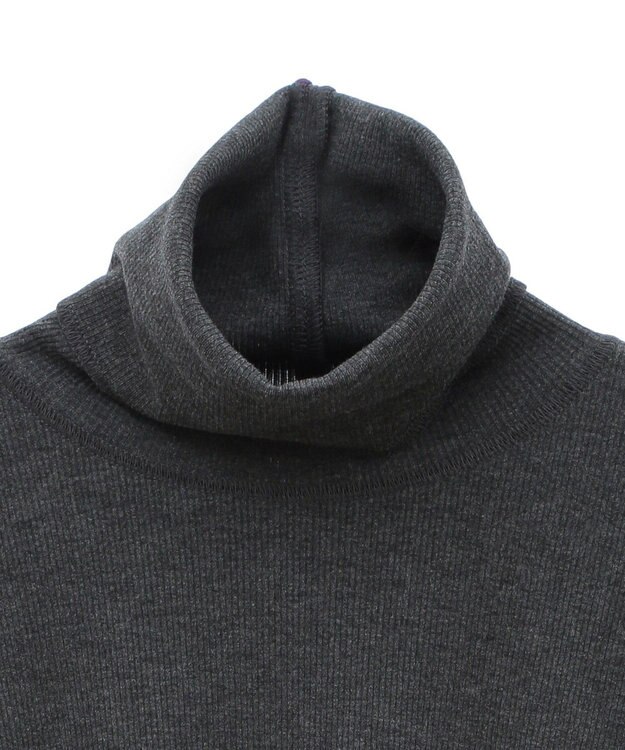 earth music&ecology リブタートルネックプルオーバー Gray