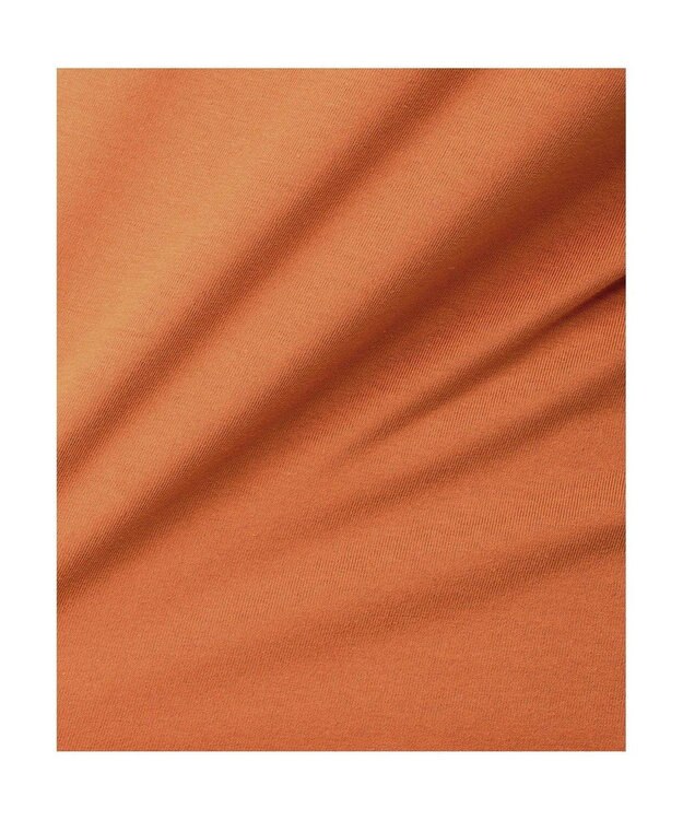 Columbia Columbia/ ウィメンズヤハラフォレストショートスリーブTシャツ /コロンビア Island Orange、Mountain Graphic