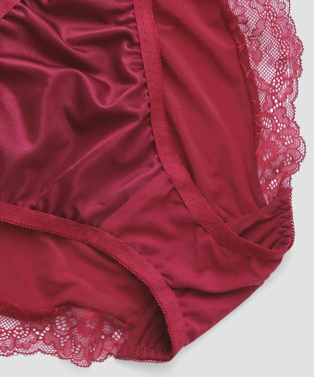 San-ai Resort（三愛水着楽園） エレガントコレクション【2411】ノーマルショーツLL 【northerly】 レッド