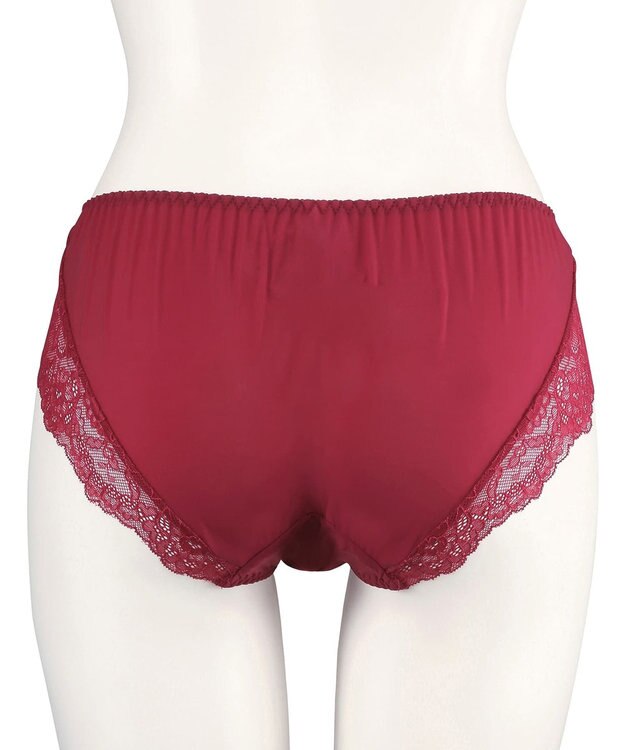 San-ai Resort（三愛水着楽園） エレガントコレクション【2411】ノーマルショーツLL 【northerly】 レッド