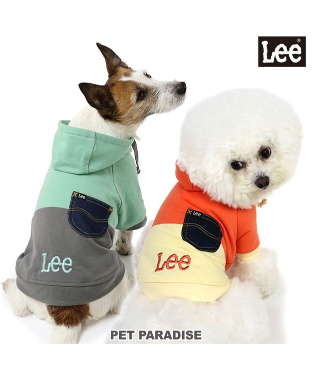 PET PARADISE Lee バイカラー フード付きパーカー 《グリーン》 小型犬 グリーン