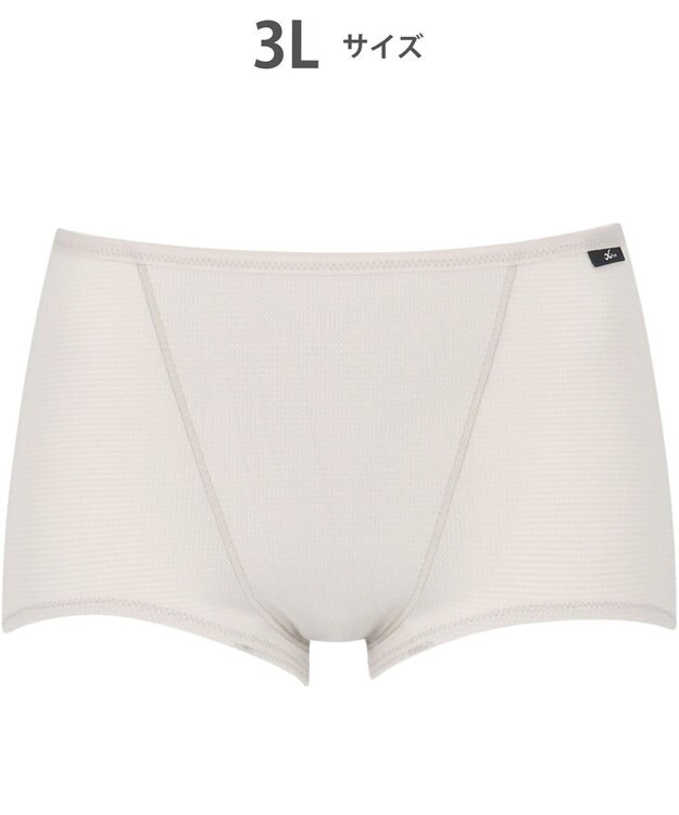 CW-X 【WOMEN】 CW-X スポーツショーツ 吸汗速乾性(本体) 抗菌防臭性(本体) メッシュ素材 はきこみ丈ふつう レディース HSY320 /ワコール ベージュ