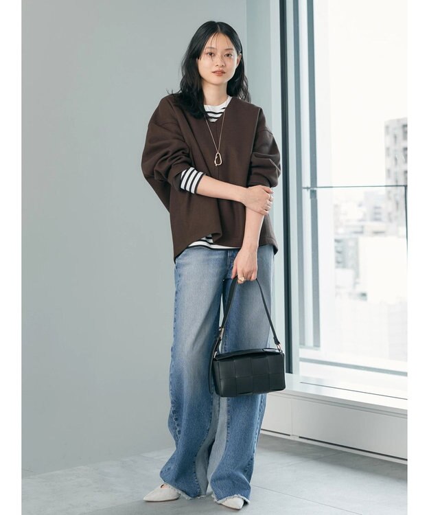 AMERICAN HOLIC 圧縮ポンチスキッパープルオーバー Brown