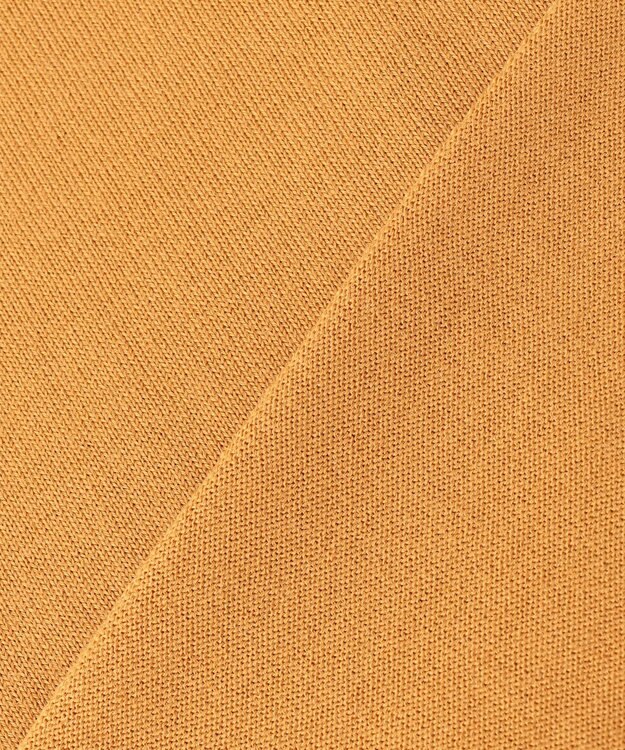 J.PRESS LADIES L 【洗える】EASY WOOL Vネック ニット イエロー系