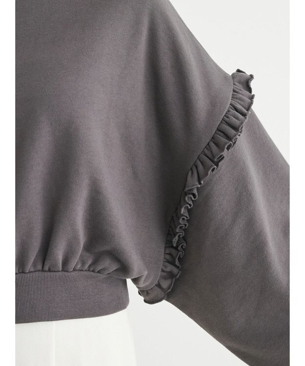 Green Parks ・Ｐｅｔｉｔ　Ｆｌｅｕｒ　ボリュームスリーブスウェット Charcoal Gray