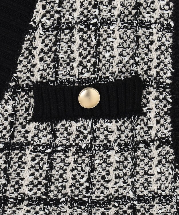 ANY L 【洗濯機可】ツイーディベスト ブラック