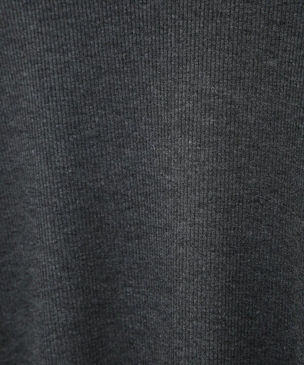 earth music&ecology リブタートルネックプルオーバー Gray