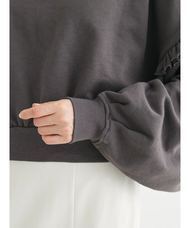 Green Parks ・Ｐｅｔｉｔ　Ｆｌｅｕｒ　ボリュームスリーブスウェット Charcoal Gray
