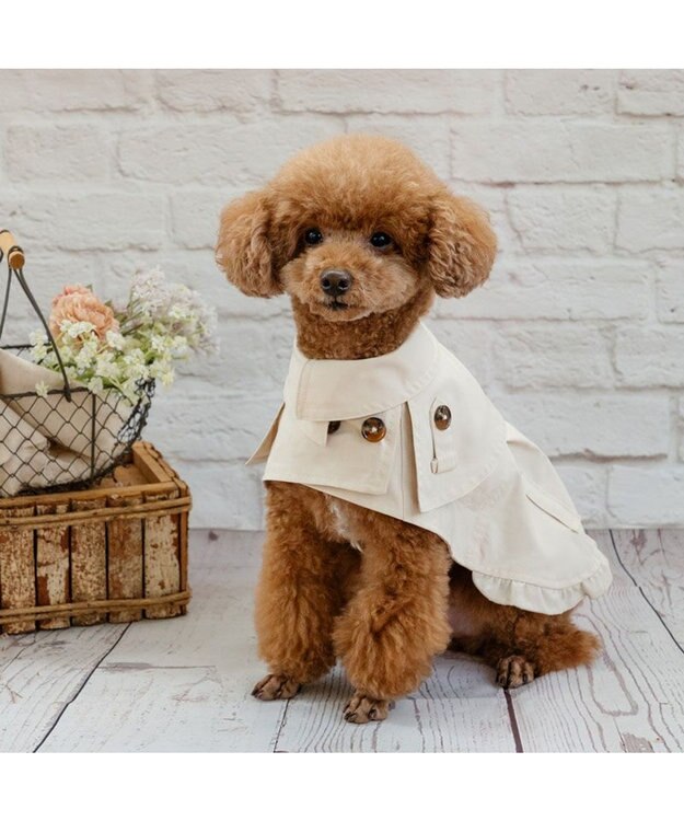 PET PARADISE ペットパラダイス トレンチポンチョ 小型犬 ベージュ