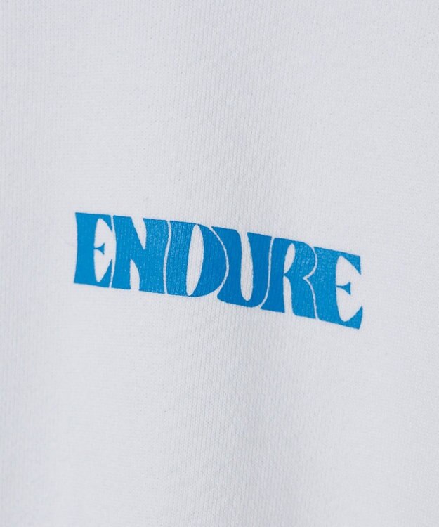 WEGO ヘビーウエイトファンシーロゴプルオーバー 柄2