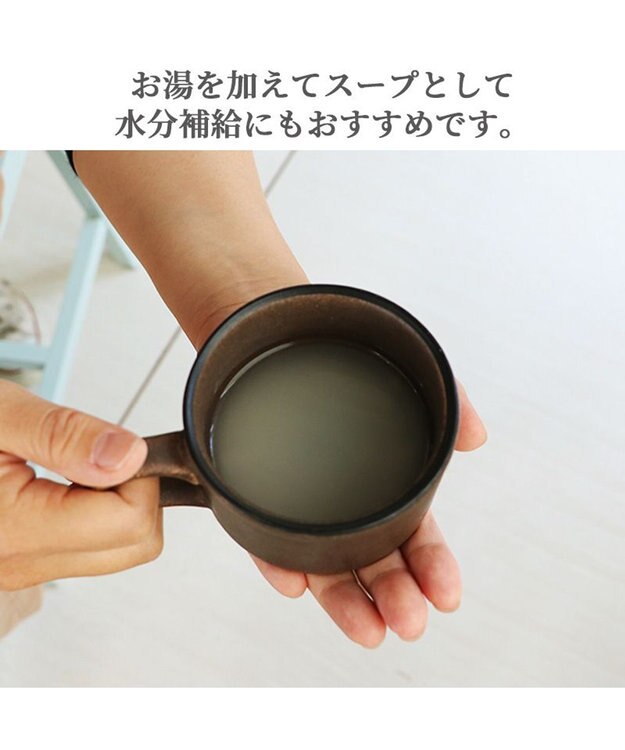 PET PARADISE リアルフードスティック ロコモケア 10g×8本 国産 -