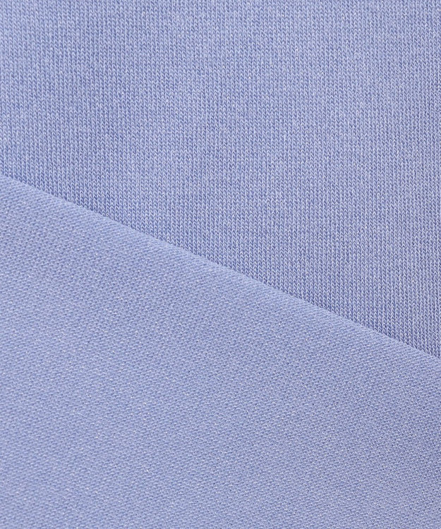 J.PRESS LADIES L 【WEB限定カラーあり・洗える】Vis/Peスパーク バンドカラー ニット ブルー系