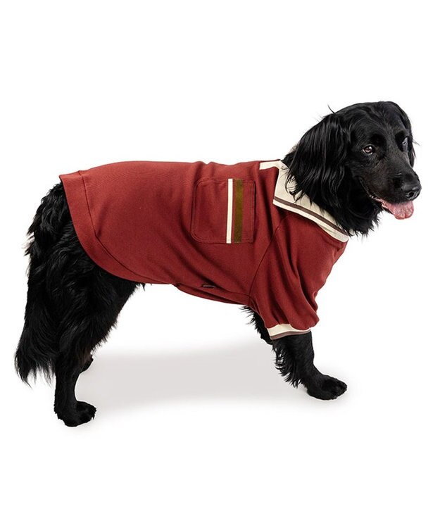 PET PARADISE ペットパラダイス プレミアム ぺティヒート スキッパーＴシャツ 中型犬 大型犬 レッド