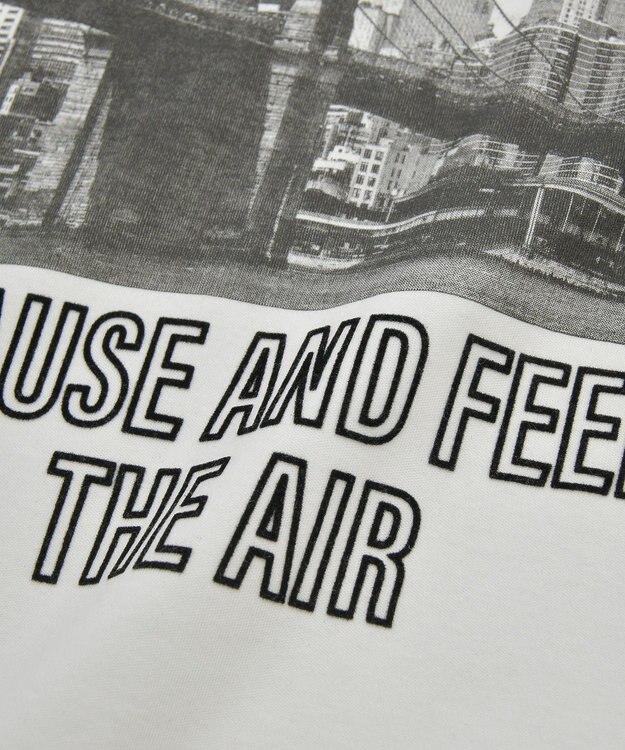 AMERICAN HOLIC アソートロゴロンＴ C