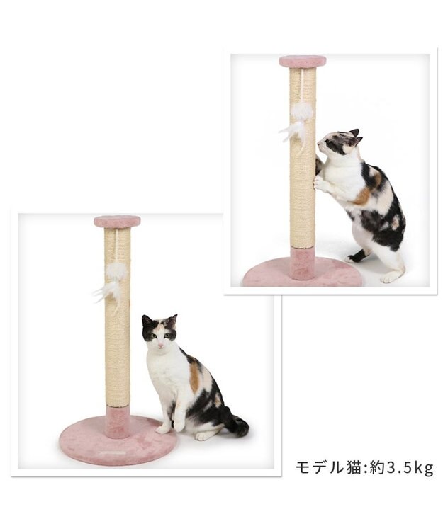 PET PARADISE 猫 つめとぎ タワー 66cm ピンク（淡）
