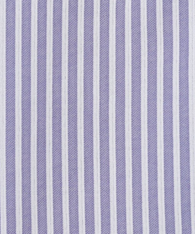 J.PRESS LADIES 【WEB限定・洗える】ストライプジャージー フレア カットソー 【WEB限定】パープルストライプ系