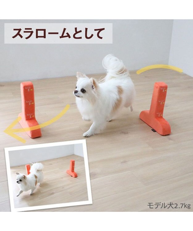 PET PARADISE ペットパラダイス わくわく ハードル トイ オレンジ