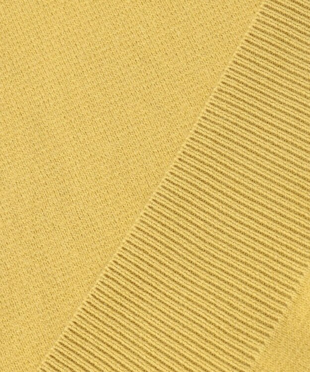 ANY 【洗える】スウェットライクフーディ イエロー