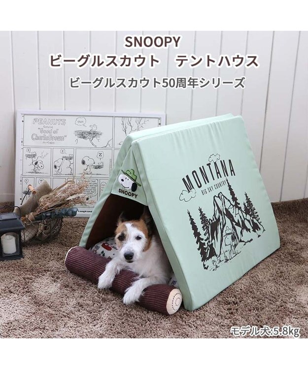 PET PARADISE スヌーピー ビーグルスカウト テント ハウス(46×47cm) 50周年 ビーグルスカウト