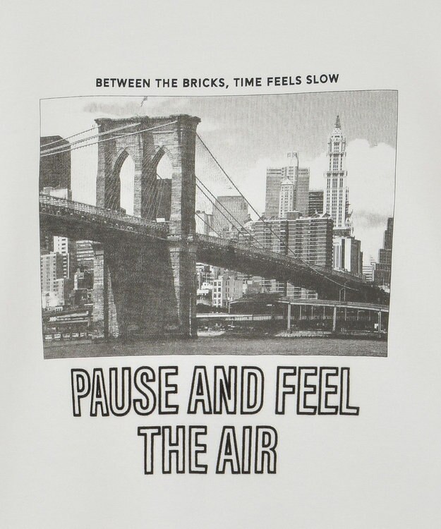 AMERICAN HOLIC アソートロゴロンＴ C