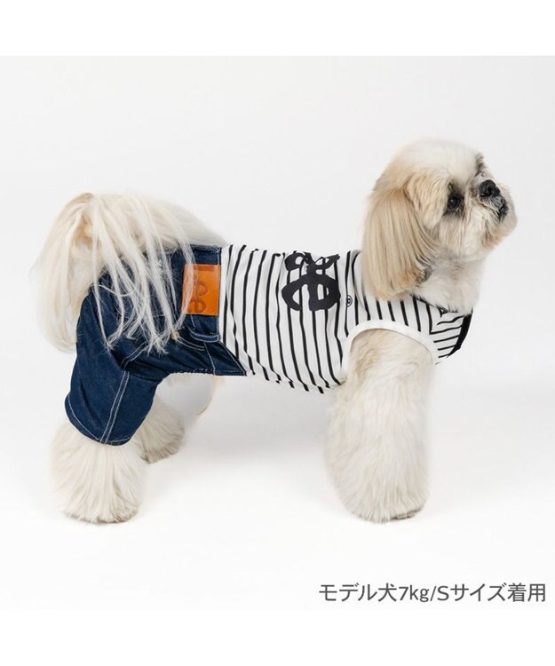 PET PARADISE Lee 鹿の子 ボーダー パンツつなぎ 小型犬 ネイビー×ホワイト